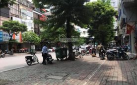 BÁN NHÀ MẶT PHỐ ĐẶNG TIẾN ĐÔNG , DT 217M2, GIÁ 48 TỶ.
